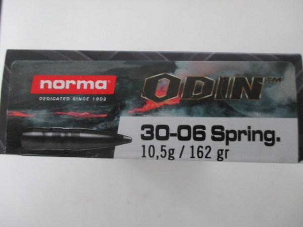 3006Odin (1)